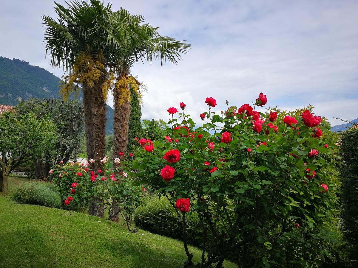 Bellagio Lake View Villa Oliveto Lario Zewnętrze zdjęcie