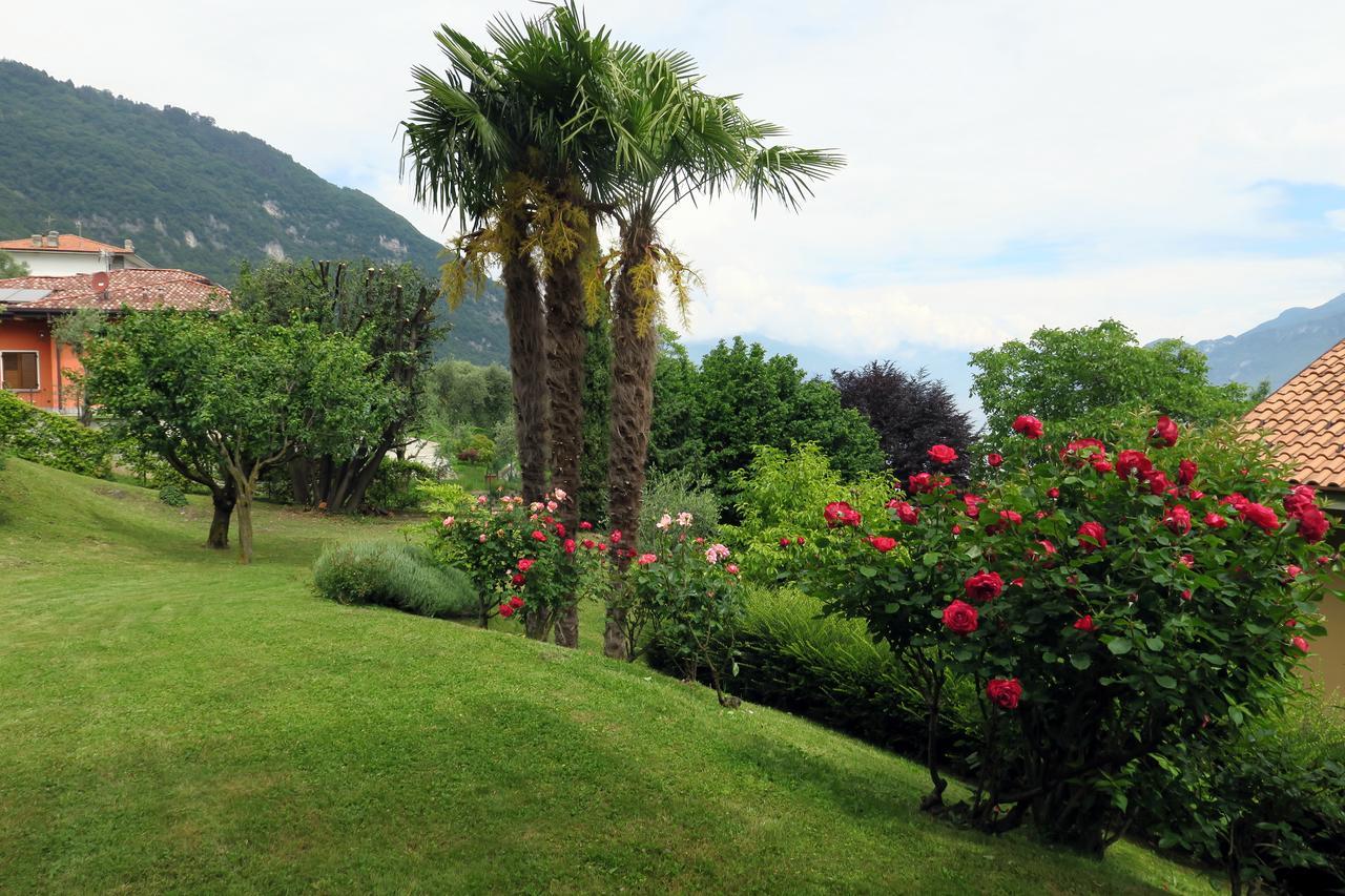Bellagio Lake View Villa Oliveto Lario Zewnętrze zdjęcie