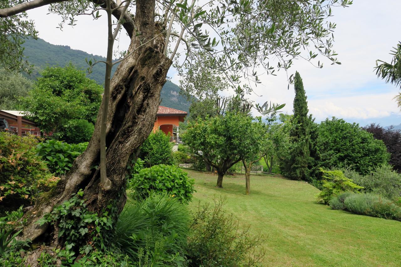 Bellagio Lake View Villa Oliveto Lario Zewnętrze zdjęcie