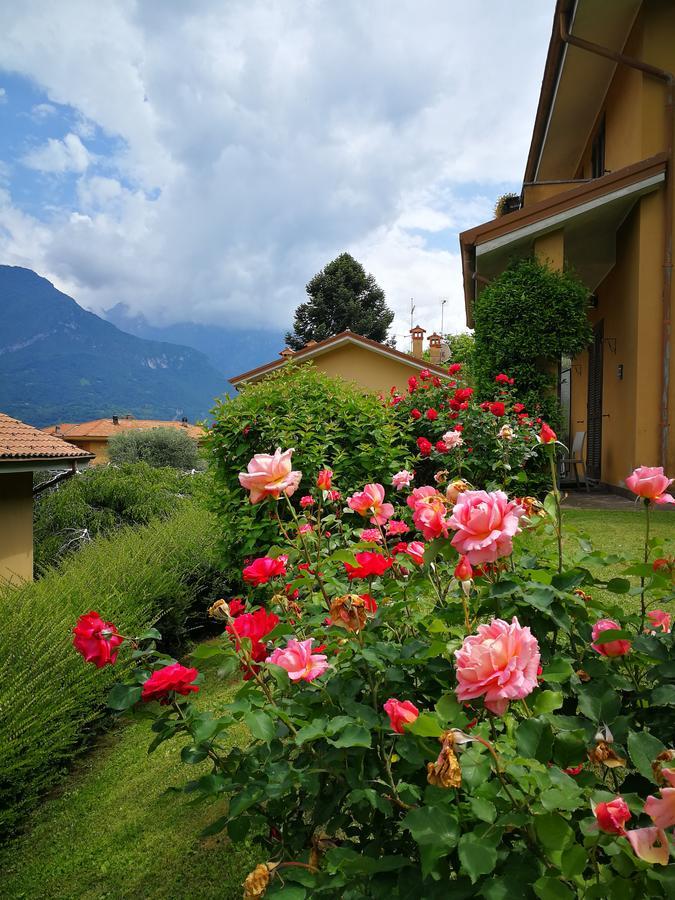 Bellagio Lake View Villa Oliveto Lario Zewnętrze zdjęcie