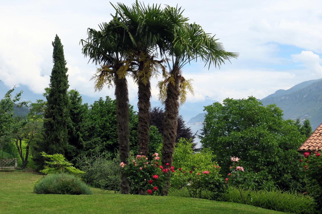 Bellagio Lake View Villa Oliveto Lario Zewnętrze zdjęcie